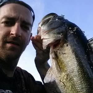 Meet your Posher, Terry